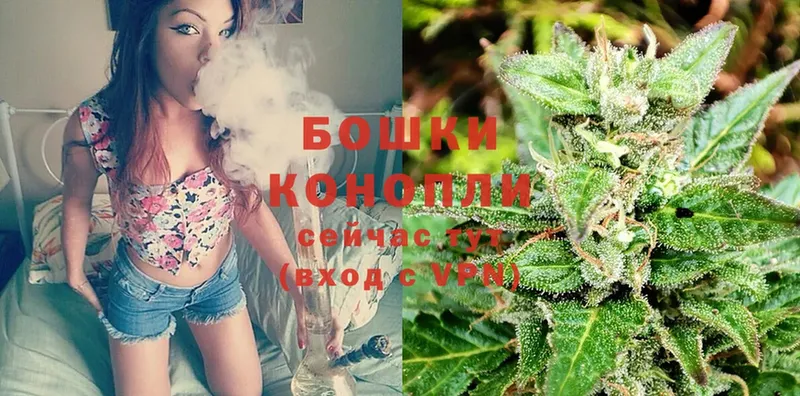 сколько стоит  Кемь  Шишки марихуана THC 21% 